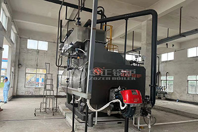 ZOZEN WNS series 4 ton gas fired boiler