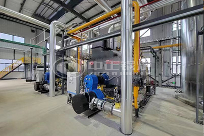 ZOZEN WNS series biogas fired boiler