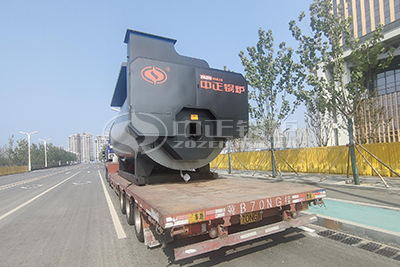 industrial biogas fired steam boiler