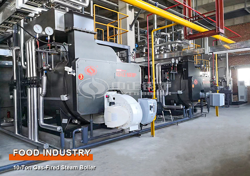 ZOZEN gas fired boiler machine for food industry