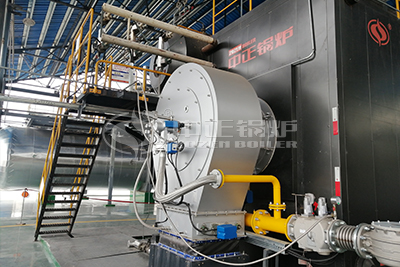 20 ton water tube boiler with gas fuel