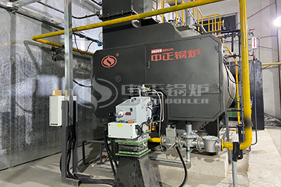 ZOZEN natural gas fired boiler