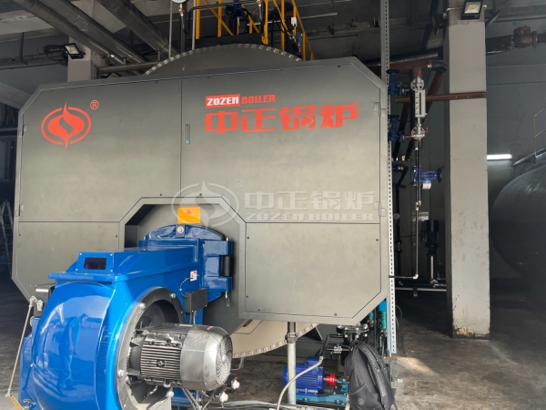 ZOZEN WNS series boiler