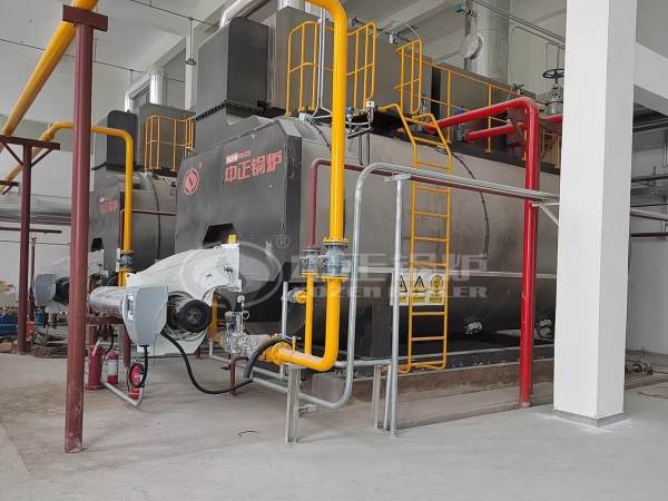 ZOZEN natural gas fired hot water boiler