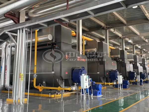 WNS series gas-fired steam boilers