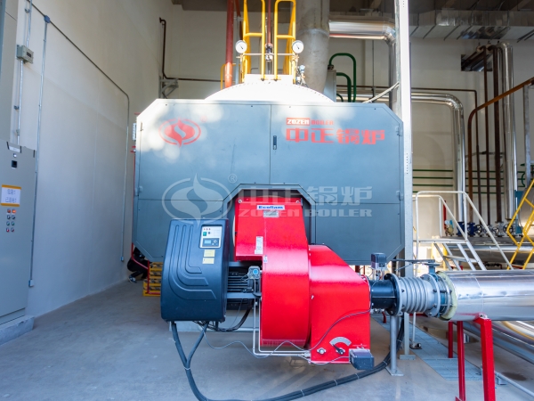 WNS series steam generator boiler