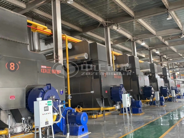 ZOZEN WNS series gas-fired boilers