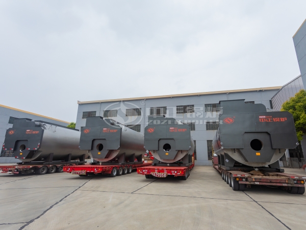ZOZEN WNS series natural gas boilers