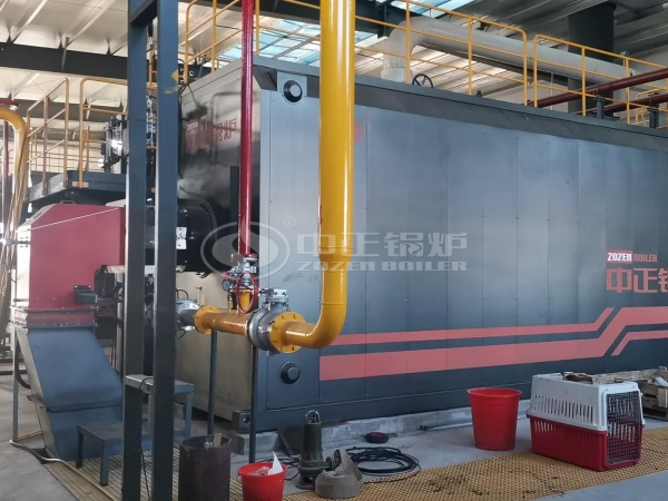 ZOZEN SZS series gas/oil fired boiler