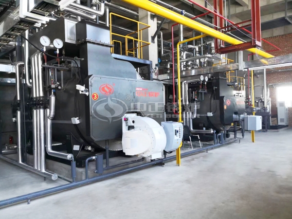 ZOZEN WNS series steam boilers