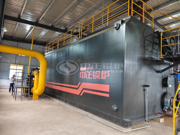 types of condensing boilers - SZS series gas-fired (oil-fired) steam boiler