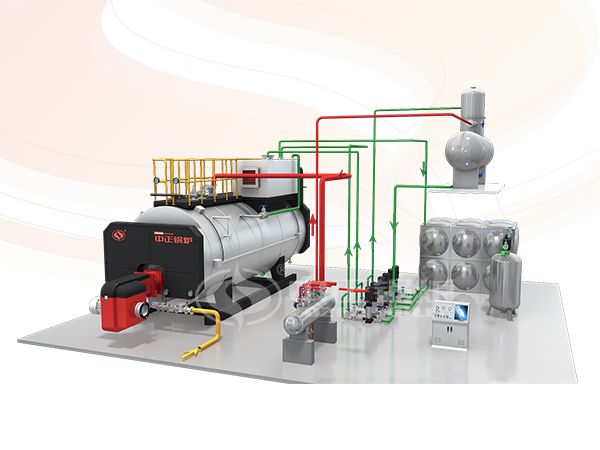 ZOZEN WNS series steam boiler system diagram