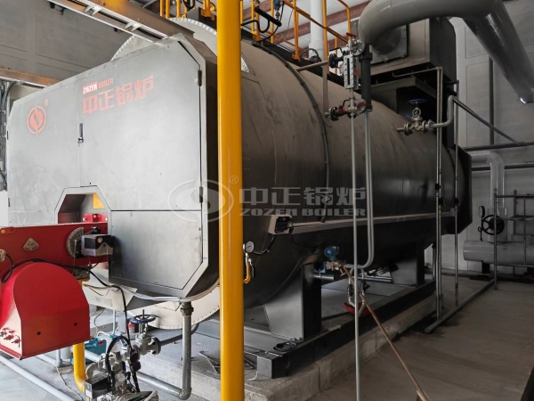 ZOZEN WNS series gas steam boiler