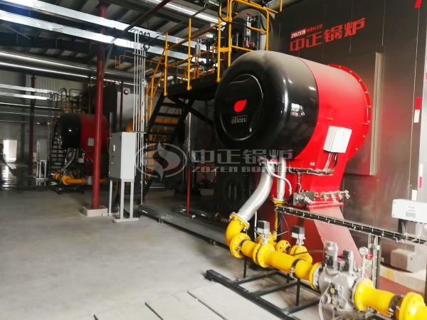 ZOZEN gas steam boiler