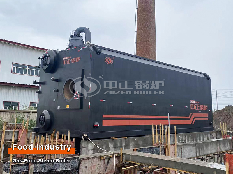 35-ton Gas Steam Water Tube Boiler for Tomato Sauce Industry