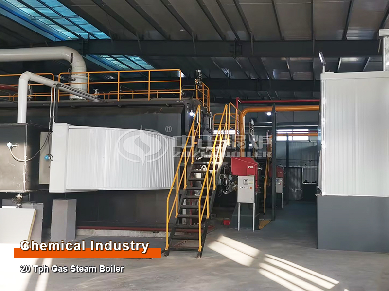 ZOZEN 20-T Steam Boiler for Global Pigment Industry