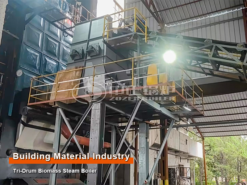 Building Material Industry 10-Ton Horizontal Biomass Steam Boiler