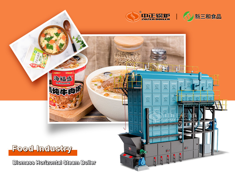 20-ton Biomass Horizontal Type Steam Boiler for Freeze-drying Food Industry