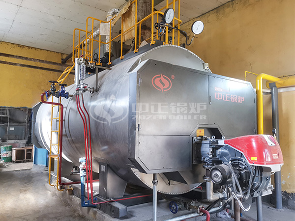 WNS series cng boiler