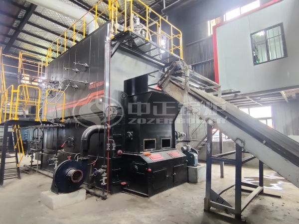 DZL horizontal biomass steam boiler