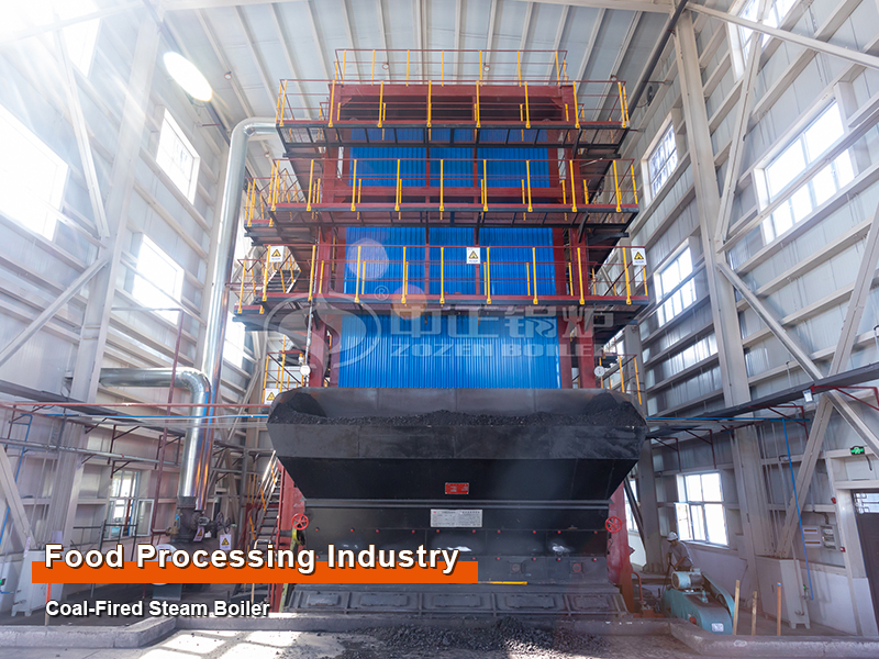 50-Ton Coal Fired Water Tube Steam Boiler in Tomato Processing Industry