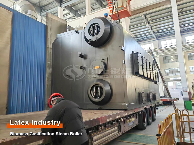 Latex Industry 10 TPH Biomass Gas Steam Boiler