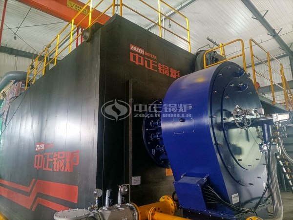 types of water tube boiler-- ZOZEN D-type water tube boiler