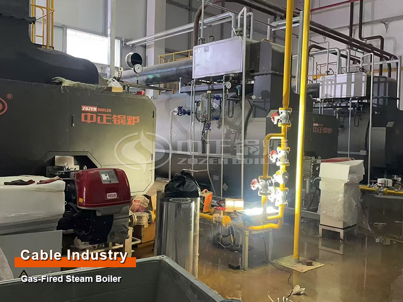 Luxshare Precision 6 T/H Gas-Fired Steam Boilers in Vietnam