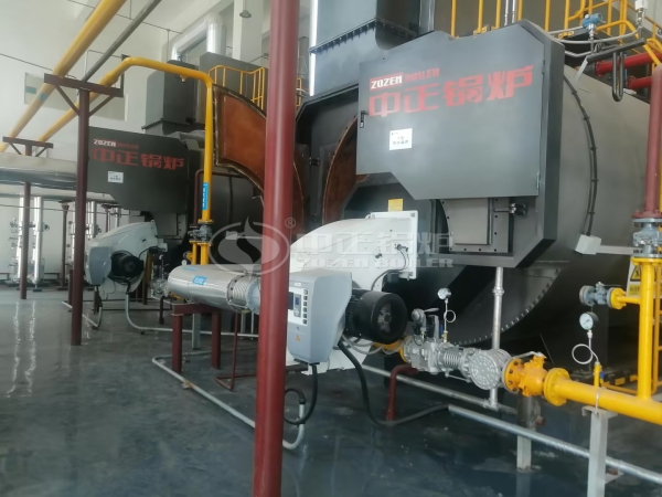 WNS series 1 MW boiler 