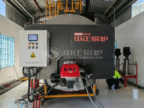 ZOZEN WNS series 3 ton boiler