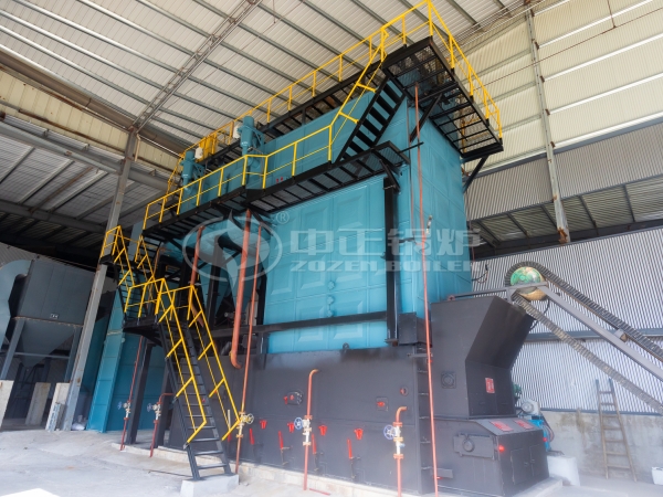 ZOZEN DZL Series biomass steam boiler