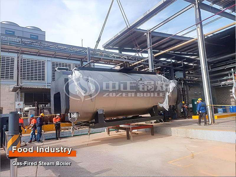 5-Ton and 10-Ton Gas-Fired Steam Boilers for the Food Industry in Venezuela