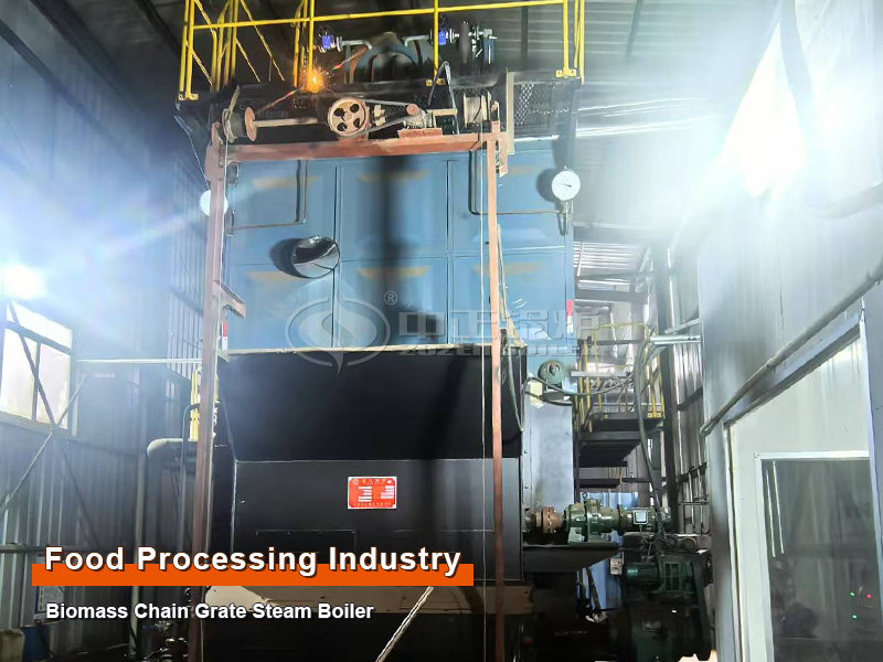 Food Processing Industry 8 T/H Biomass Chain Grate Steam Boiler