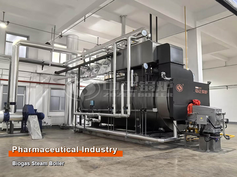 ZOZEN 10-Ton Biogas Steam Boiler for Pharmaceutical Project