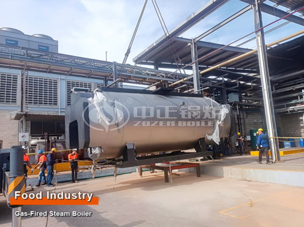 10 tph boiler