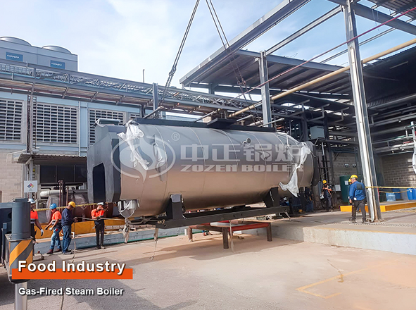 types of boilers used in food industry