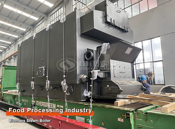 steam drum boiler